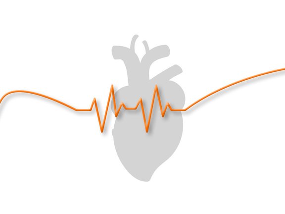 oskar-lapp-heart-24