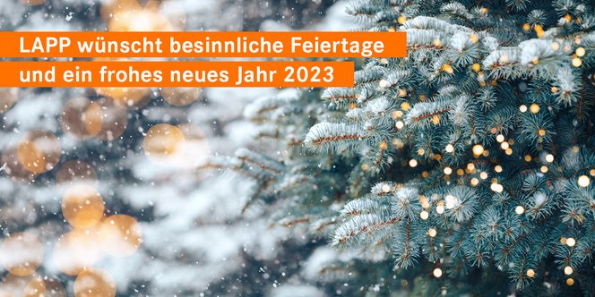 Slider Christmas-New-Year DE